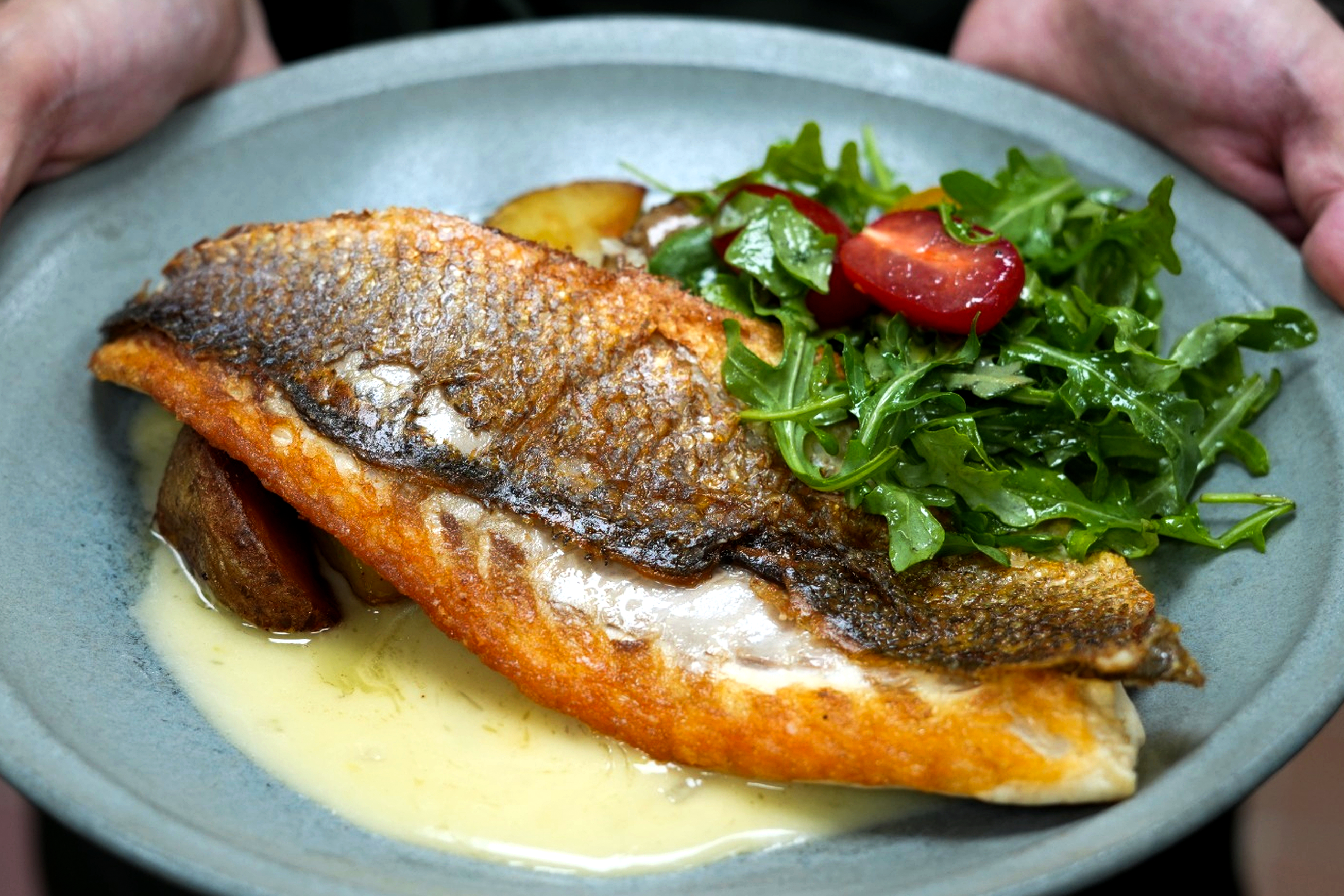 KOZY gallery photo 7